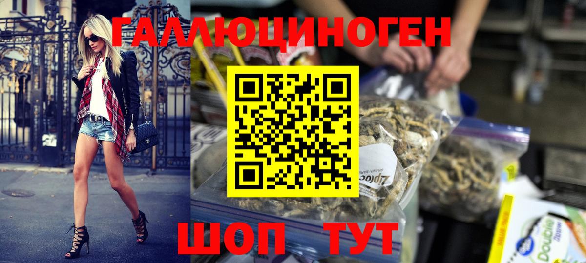 Галлюциногенные грибы Psilocybine cubensis Азнакаево